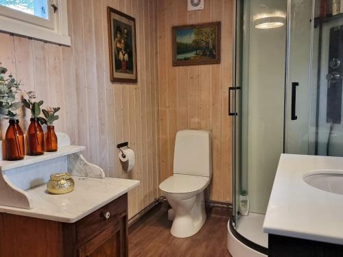 Vonios kambarys apgyvendinimo įstaigoje Holiday home Halden III