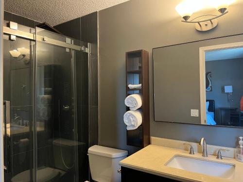 ein Bad mit einer Dusche, einem Waschbecken und einem Spiegel in der Unterkunft Citadel hill cr community! in Calgary