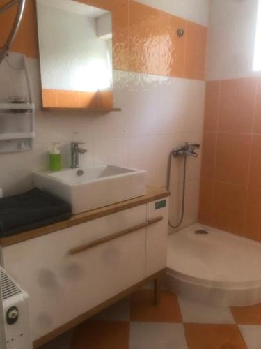 a bathroom with a sink and a toilet at Vila Cri Cri in Buşteni