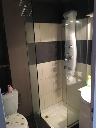 une salle de bain avec une douche avec des toilettes et un lavabo dans l'établissement Le Victor Hugo 4 D et sa pizza offerte, à Aurillac