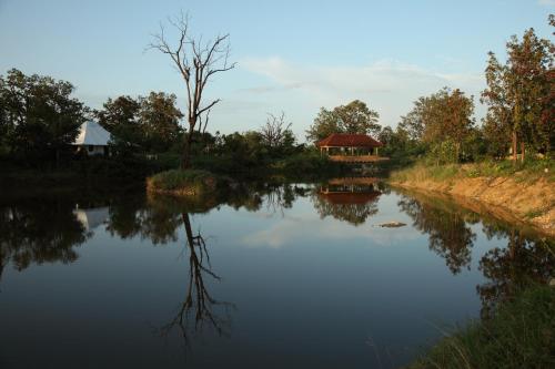 Tuli Tiger Corridor – Photos 3