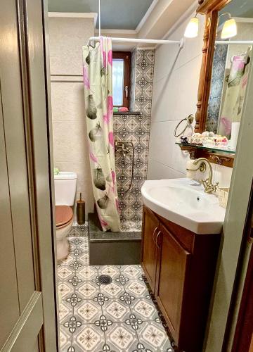 a bathroom with a sink and a toilet at Βoka's House in Arachova