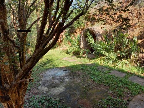 Taman di luar Casa de campo serrana, alegre e com piscina