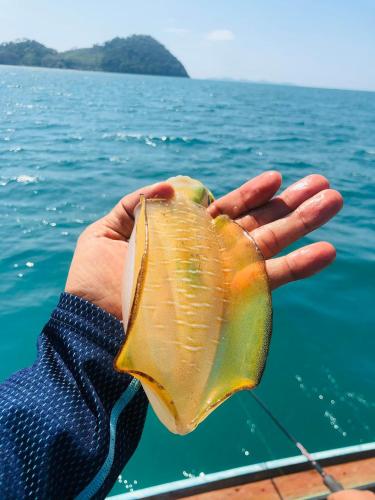 a person holding a shell in front of the water at เกาะลิบงซันไรส์ โฮมสเตย์ Koh libong sunrise Homestay in Ko Libong