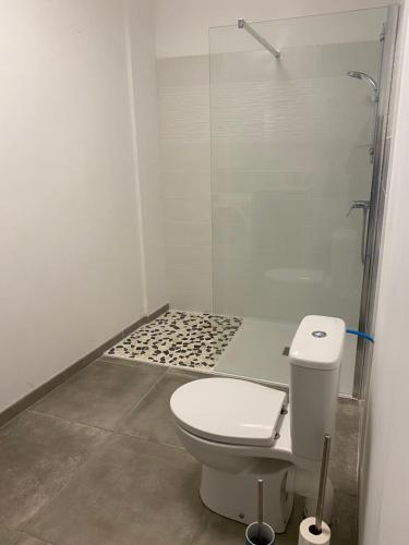 La salle de bains est pourvue de toilettes et d'une douche en verre. dans l'établissement Le Clos des Embruns, 