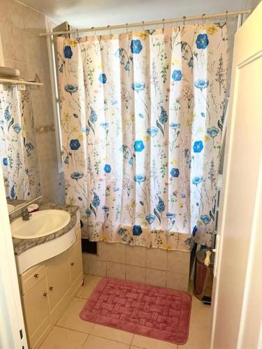 une salle de bain avec un lavabo et un rideau de douche dans l'établissement Superbe appartement près du métro 4 proche Paris, à Bagneux