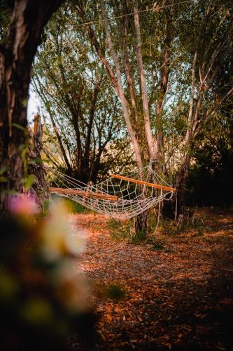 a hammock is tied to a tree in the woods at Village Jazz in Chimankend