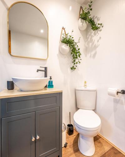 a bathroom with a sink and a toilet and a mirror at Coorie View in Kilmore