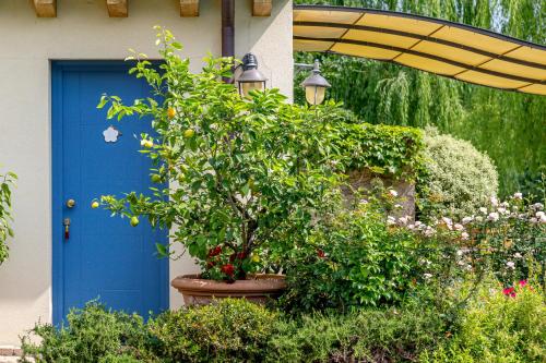 a tree in a pot in front of a blue door at Hotel Calvi-Ristorante Mainor in Vittorio Veneto