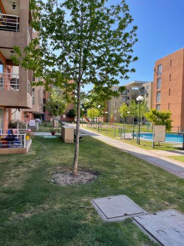 a tree in a park next to a building at Hermoso Depto Jardines in Rancagua