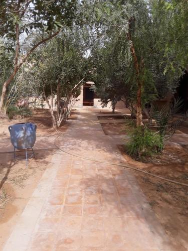 a dirt road with trees and a chair on it at Hôtel Camping La Liberté in Merzouga