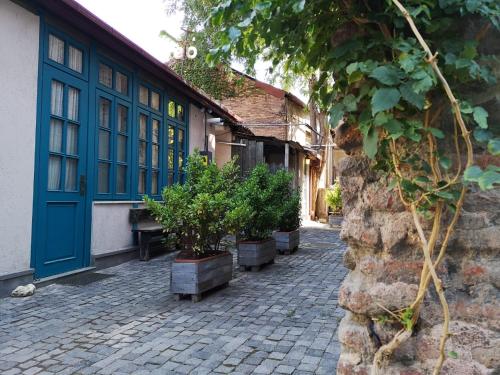 budynek z niebieskimi drzwiami i doniczkami na ulicy w obiekcie 3 Heritage Rooms w mieście Tbilisi City