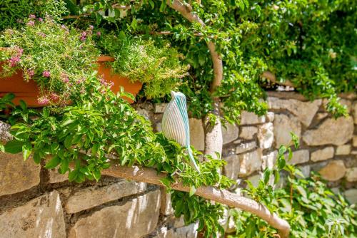 a branch of a tree on a stone wall at Acacia APT by Aglaia V in Vlachopoulátika