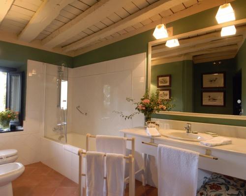 a bathroom with a sink and a shower and a toilet at Hotel Caserío de Lobones in Segovia