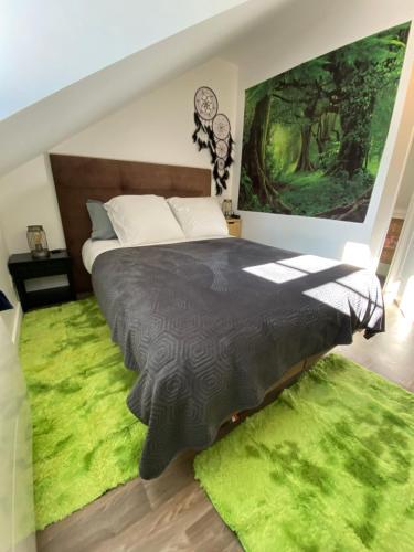 a bedroom with a large bed with a green rug at La pause zen in Tulle
