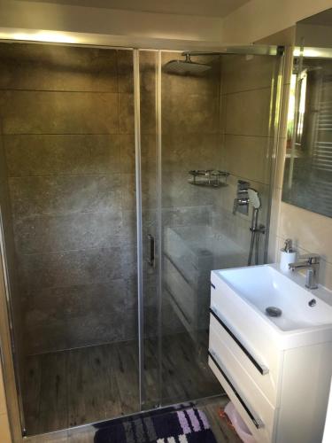 ein Bad mit einer Dusche und einem Waschbecken in der Unterkunft U Dubu in Tábor