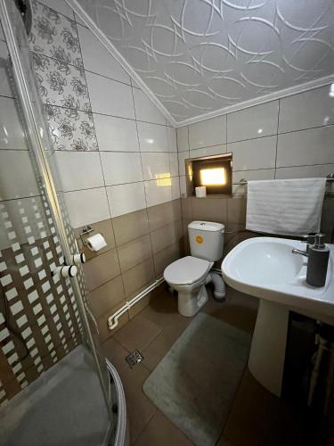 a bathroom with a toilet and a sink at Vila SOFIA in Haţeg