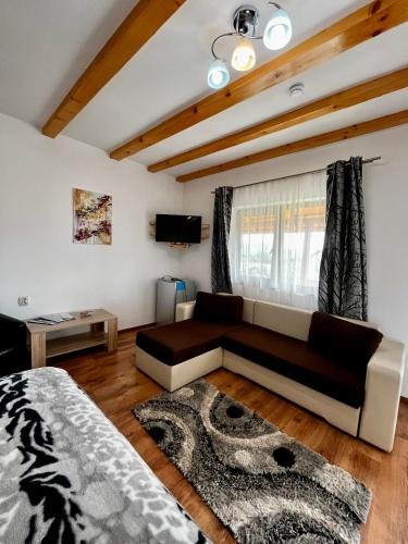 a living room with a couch and a bed at Vila SOFIA in Haţeg