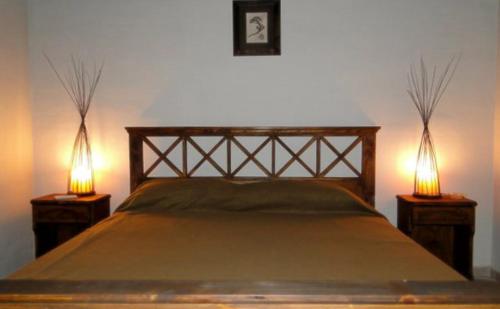 a bedroom with a bed with two lamps on tables at Terrazas al Valle in San Rafael