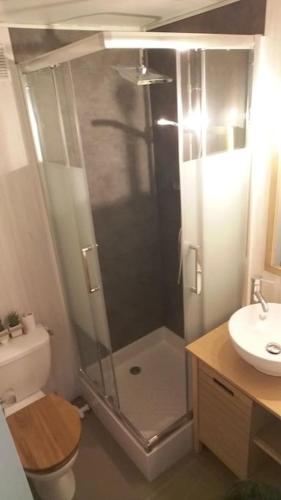 une salle de bain avec une douche, des toilettes et un lavabo dans l'établissement appartement avec balcon au Mont Dore, à Le Mont-Dore