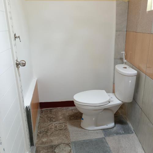 a bathroom with a white toilet and a tub at Omah Singo Stay & Resto Yogyakarta in Bantul