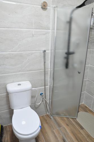 a bathroom with a toilet and a shower at Vastu Dead Sea apartment in Arad