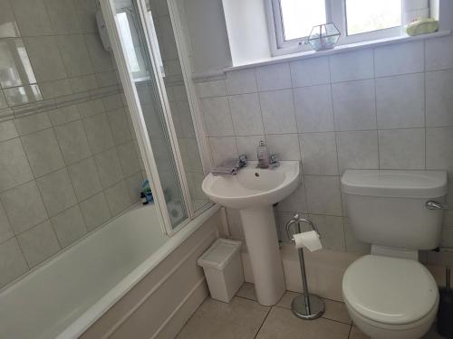 uma casa de banho branca com um WC e um lavatório em Stoneyford Village em Stonyford