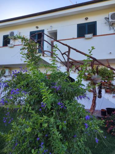 Casa Eroma
