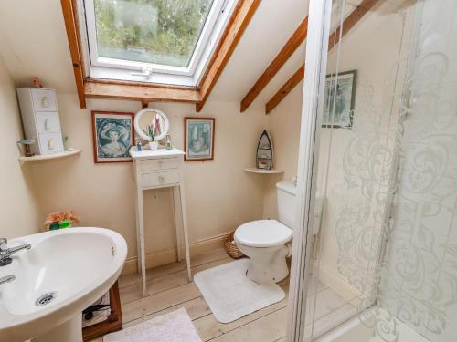 a bathroom with a shower and a toilet and a sink at Ryan's Loft in Ardfinnan