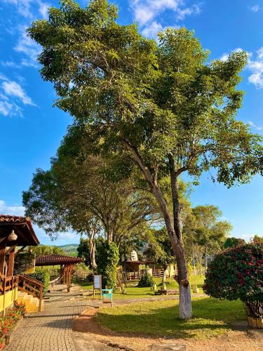 a tree in the middle of a park at Bonito Plaza Hotel in Bonito