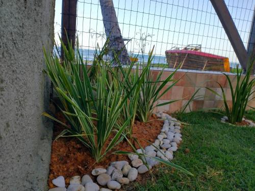 Κήπος έξω από το Casa à beira mar de Maragogi com 3 quartos, 4 banheiros e Área Verde