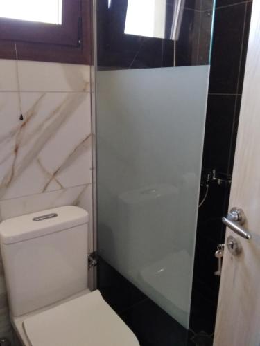 a bathroom with a toilet and a glass shower door at Kamares View (Γαλήνη) in Ayeranós