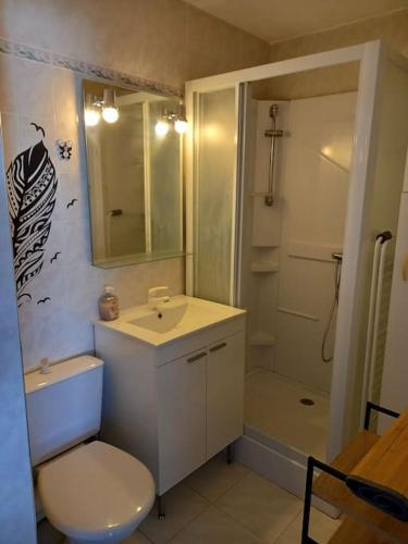une salle de bain avec toilettes, lavabo et douche dans l'établissement Raisin d'or, T2, parking, piscine, au Cap d'Agde