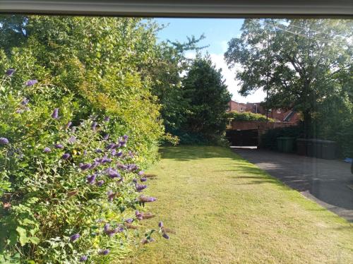 a garden with purple flowers in the grass at Victorian Renovation Room 4 in Liverpool