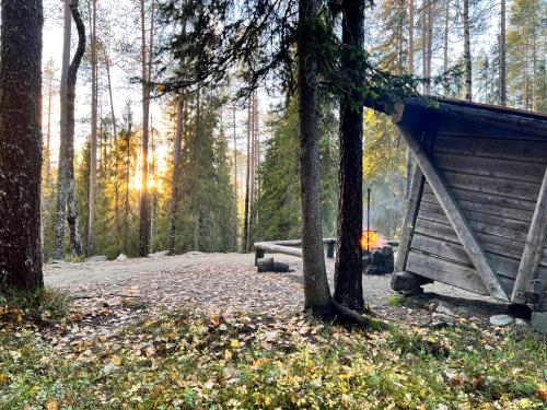 a wooden cabin with a bench in the woods at Villa Dakota in Syöte