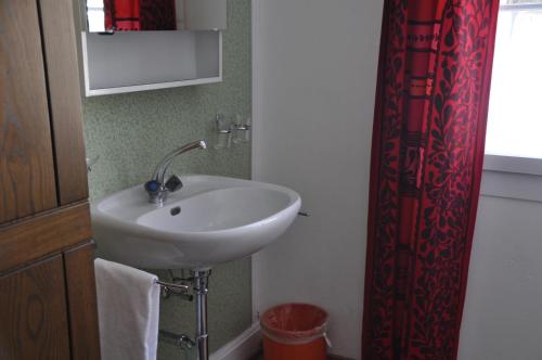 een badkamer met een wastafel en een rood douchegordijn bij Hostel Engelberg "mein Trail Hostel" in Engelberg