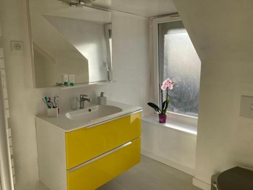 a bathroom with a yellow sink and a window at Maison chaleureuse bord de mer in Saint-Quay-Portrieux