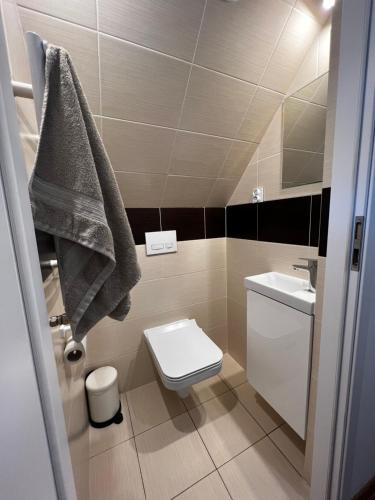 a bathroom with a toilet and a sink at PETE HOUSE in Ustrzyki Dolne