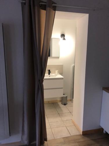 ein Bad mit einem Waschbecken und einem Duschvorhang in der Unterkunft Le Cottage du Vieux Moulin in Ravilloles