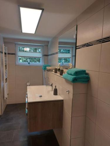 a bathroom with a sink and a mirror at Ferienwohnung Küstenanker in Nienhagen