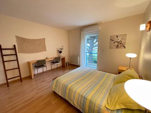 Schlafzimmer mit einem Bett, einem Schreibtisch und einem Fenster in der Unterkunft Les chambres de Testory in Montesquieu-Volvestre