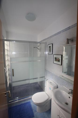 a bathroom with a shower and a toilet and a sink at Dar Saioa in Torrevieja