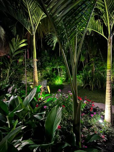 a garden with tropical plants and palm trees at Pousada Fasani in Ilha de Boipeba