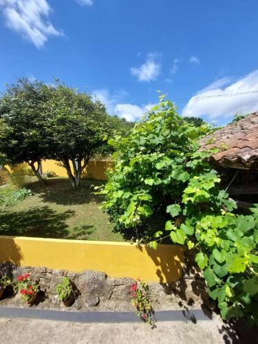 Zahrada ubytování Casas de Maragouzos