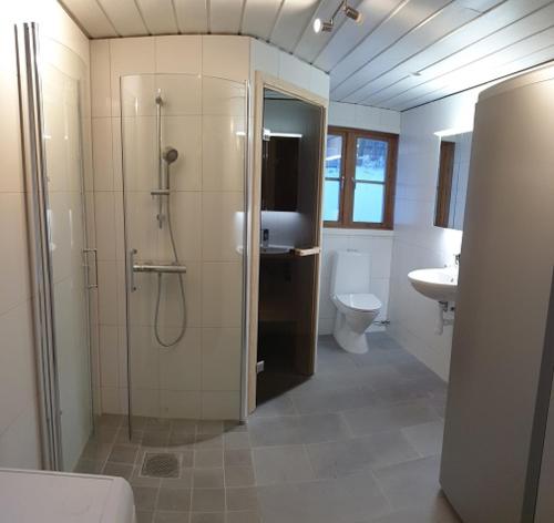 een badkamer met een douche, een toilet en een wastafel bij Funäsdalen Högen 6 in Funäsdalen