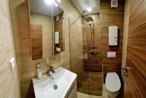 a bathroom with a sink and a toilet and a mirror at Vila Ivica Kjoshe in Ohrid