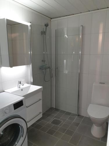 a bathroom with a shower and a washing machine at Funäsdalen Högen 6 in Funäsdalen