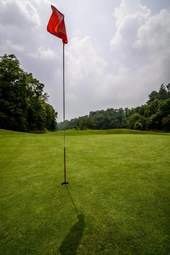 a red flag in the middle of a green field at Gokarna Forest Resort Kathmandu in Kathmandu