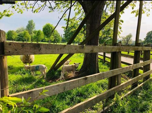 The Shepherd’s Nest photo 22