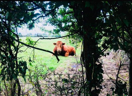 The Shepherd’s Nest photo 18